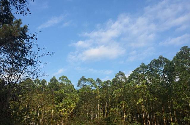 五象岭森林公园