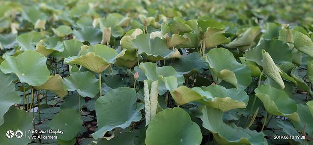 无棣古城旅游景区