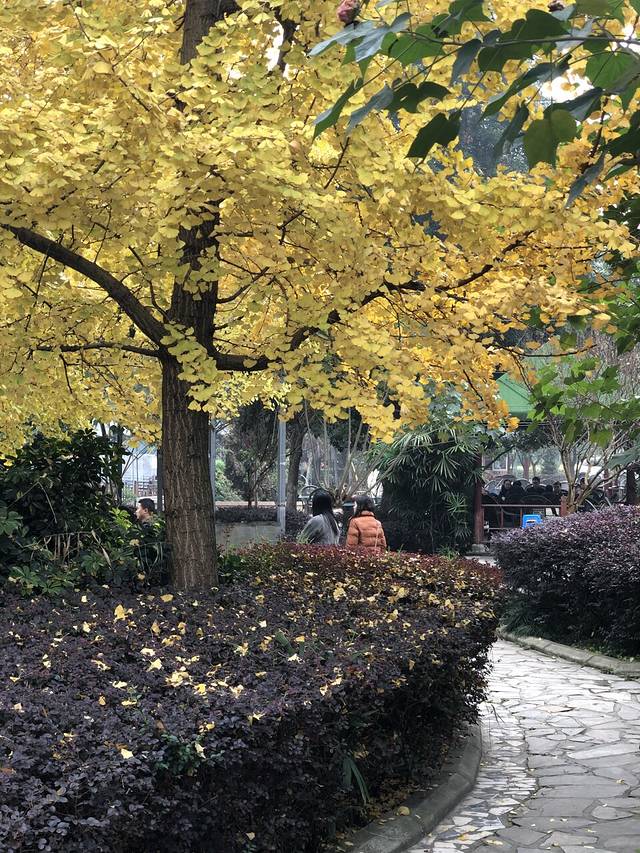 白鹭湾印象花园·宴会厅(三圣乡湿地公园店)