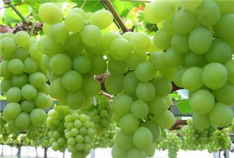 永辉超市(宣化店)