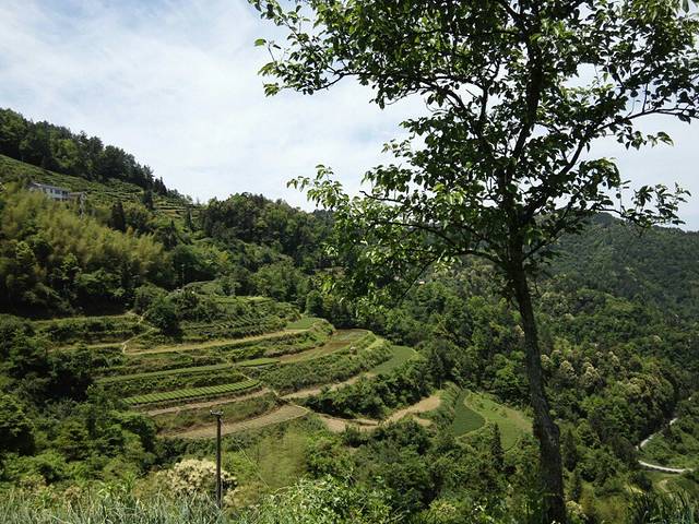 七姊妹山国家级自然保护区