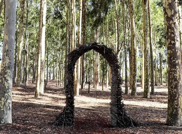 图阿特森林公园