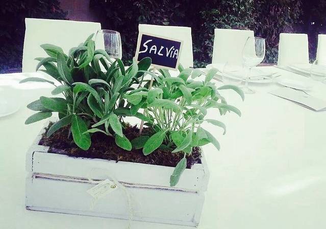 Villa de Grecis Eventi