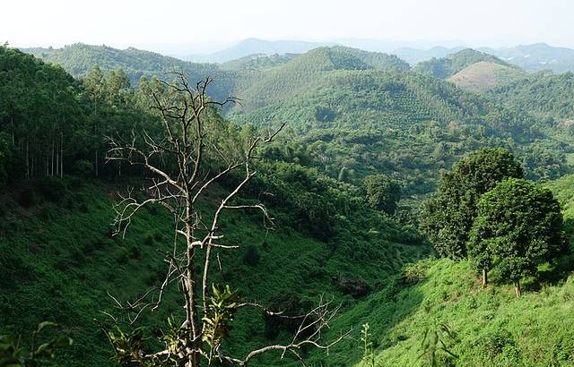 广东大王山国家森林公园