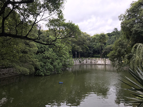 开元寺遗址旅游景点图片