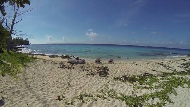 克利夫顿遗产国家陆地和海洋公园