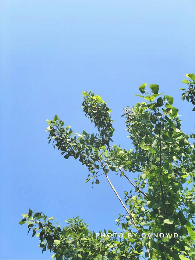 北塘公园南沙风情