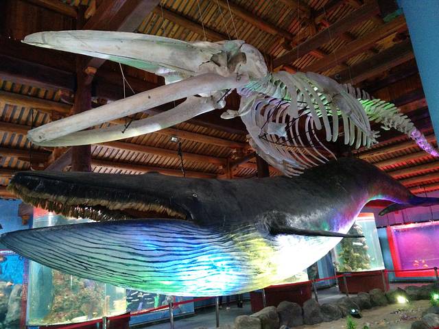 妈祖影视城-福海阁