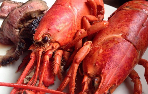 Boston Lobster Feast旅游景点图片