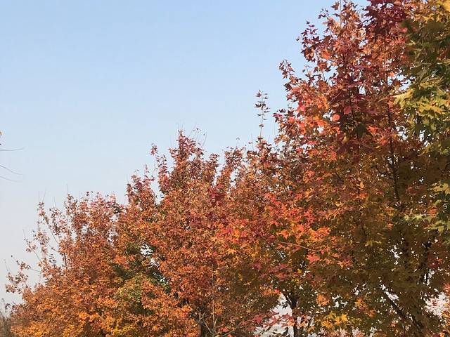 北京鹫峰国家森林公园