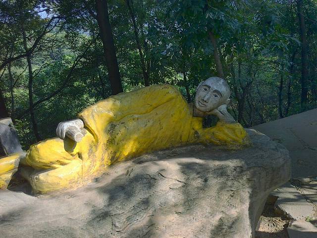 观音山古树博物馆