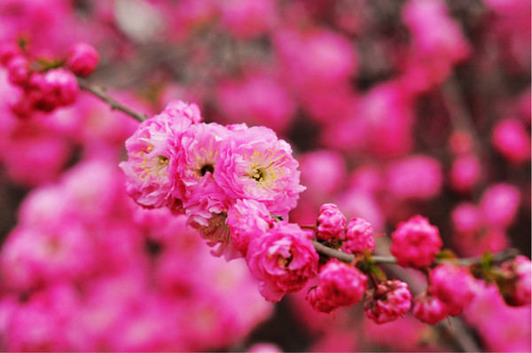 兰州大学(榆中校区)-博物馆