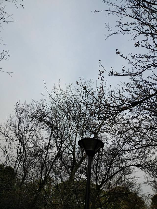 香港仔郊野公园