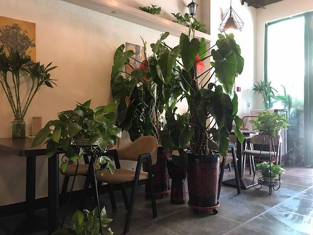 绿门咖啡馆GreenDoor(银川西夏万达广场店)