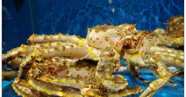 赶海渔翁蒸汽海鲜(西三教店)