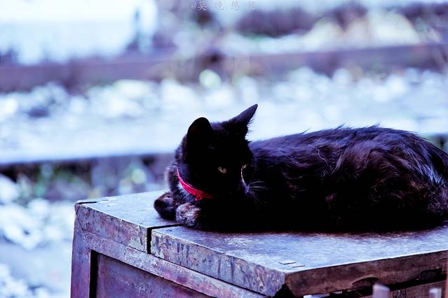 军哥书屋(防空洞店)