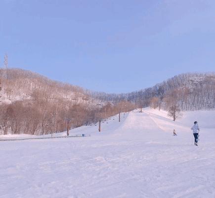 札幌盘溪滑雪场