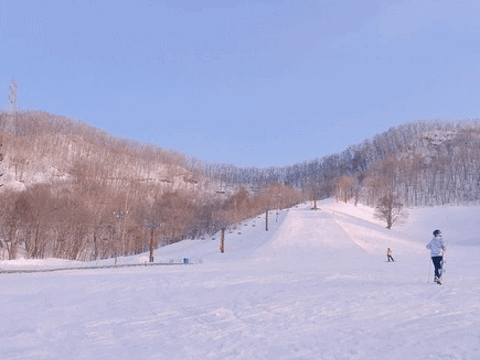 札幌盘溪滑雪场旅游景点图片