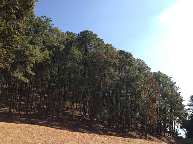 松山战役纪念馆