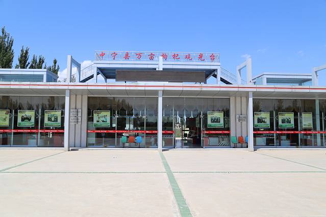 中宁万亩枸杞观光园