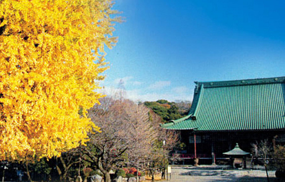 清浄光寺旅游景点图片