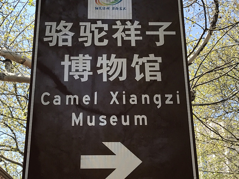 骆驼祥子博物馆旅游景点图片