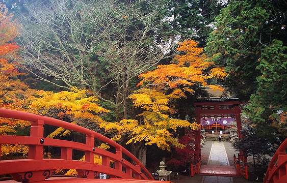 丹生都比卖神社旅游景点图片