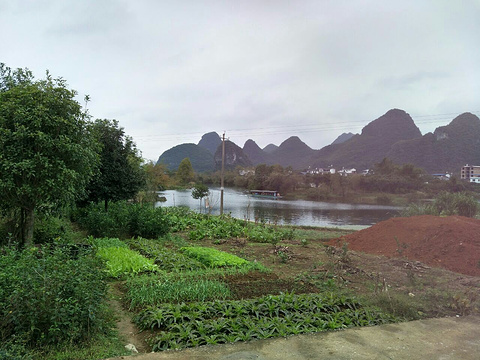 阳朔白沙世外桃源河边人家旅游景点图片