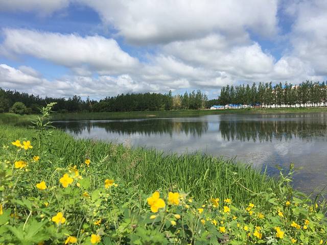 望龙山国家森林公园