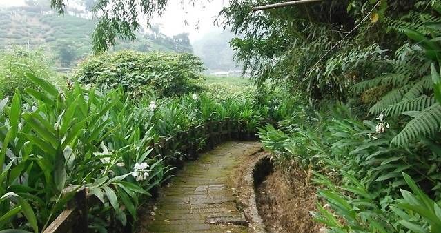 Yejianghua River Trail