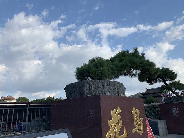 南山绿集花鸟市场