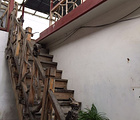田仙古槐农家院