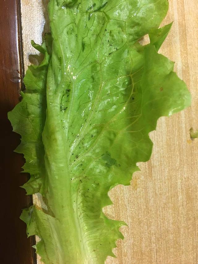 川妹火锅(新干直营店)