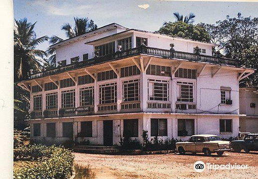 Liberian National Museum旅游景点图片