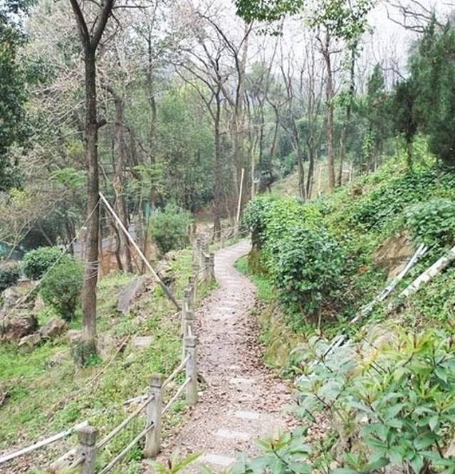 森林公园自由人BBQ烧烤乐园