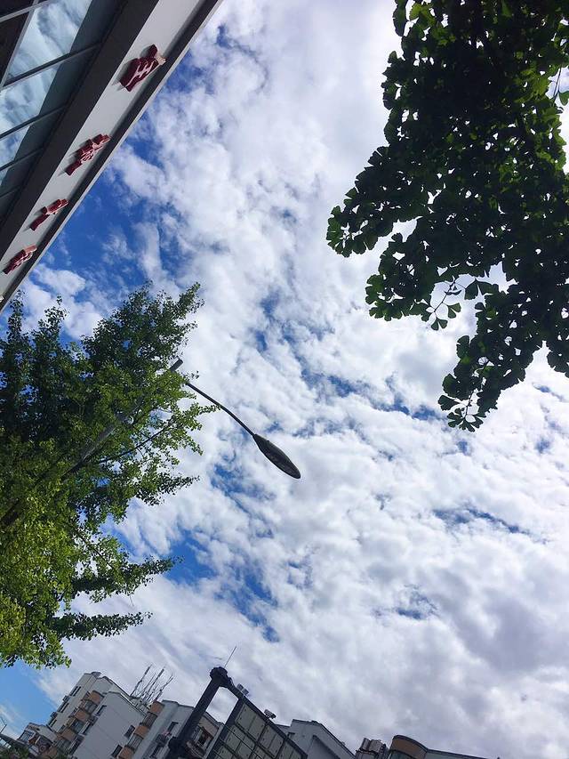 伟红蟹黄包(京城小区店)