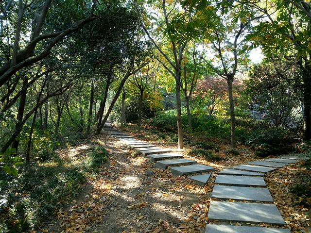 利辛县阚疃镇白鹭洲水利风景区