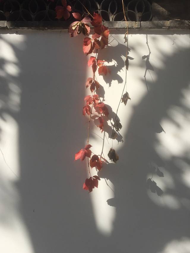 北京大观园-秋爽斋