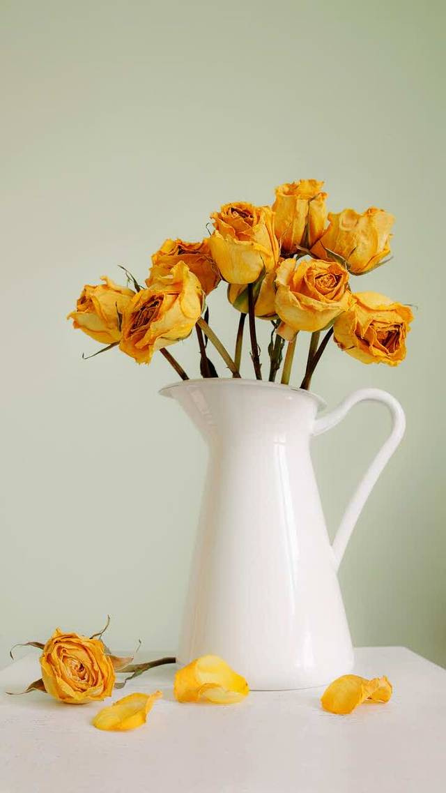 陆老爹猪脚(天润店)