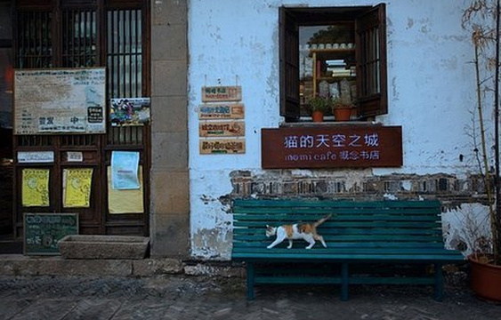 猫的天空之城概念书店(老虎滩店)旅游景点图片