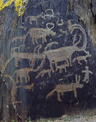 2021阿尔泰山岩画门票,阿勒泰阿尔泰山岩画游玩攻略,阿尔泰山岩画游览