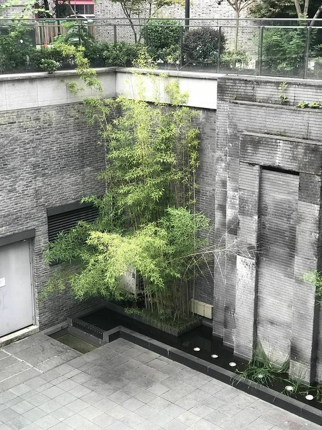 上城区文化馆(惠民馆)