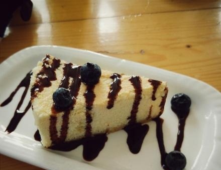 海边的猫和咖啡馆