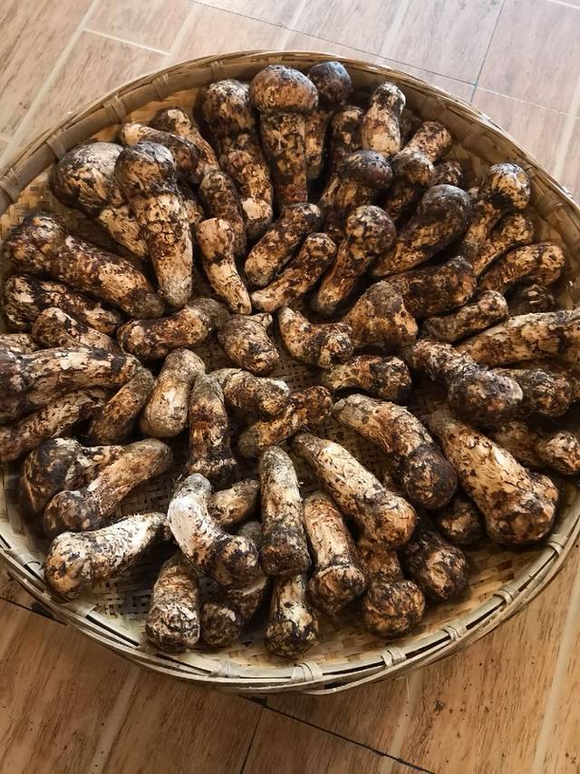 火塘人家文化主题餐厅(稻城县香格里拉店)