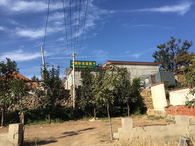 天穆桐轩清真菜农家院