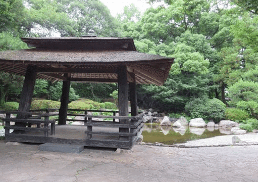 Musashizuka Park旅游景点图片
