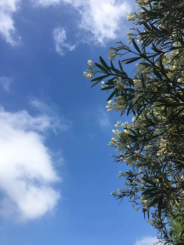 新石器烤肉(砂之船店)