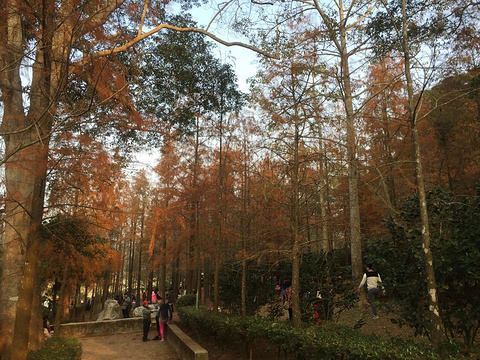 后里马场