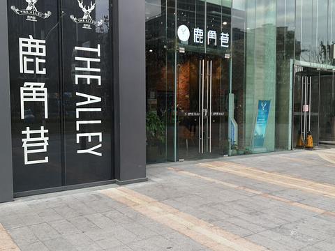 THE ALLEY鹿角巷(青浦宝龙店)旅游景点图片