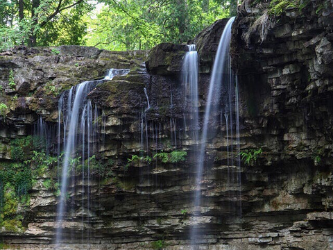 Hilton Falls Conservation Area旅游景点图片